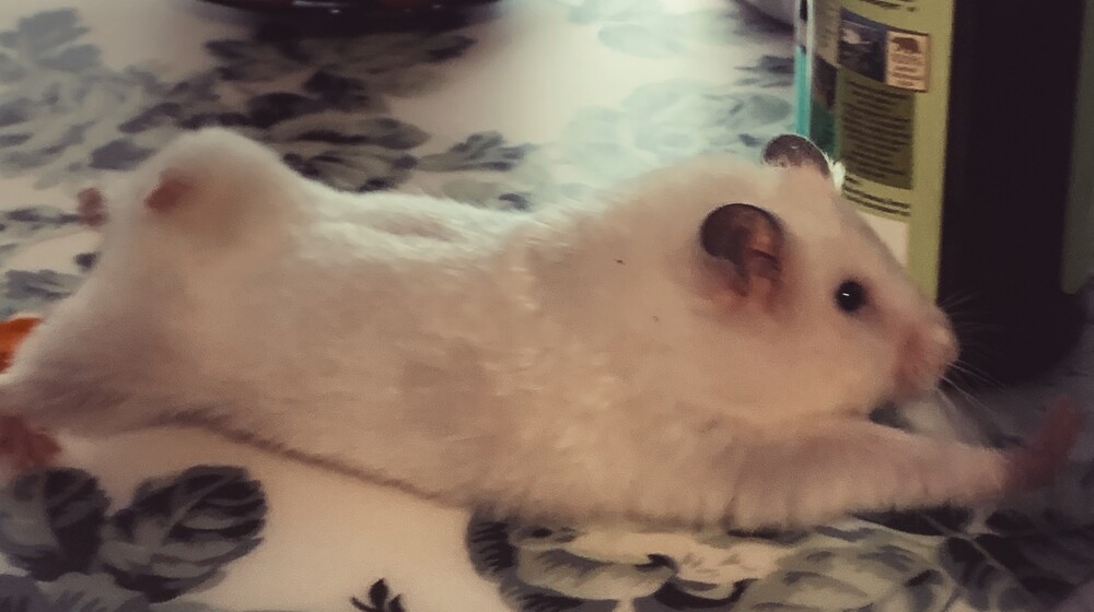 Мирона (не самые важные)