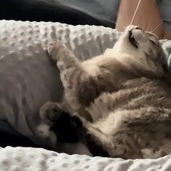 Советую музыку!