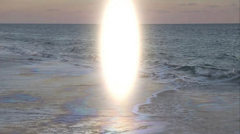 прочитано / прослушано.