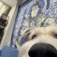 Прочитано 2026 