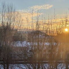 (Авто)биографии