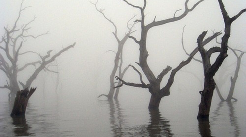 Избранное by pulvis