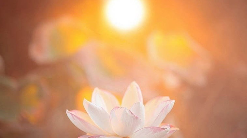 Писать хорошо...