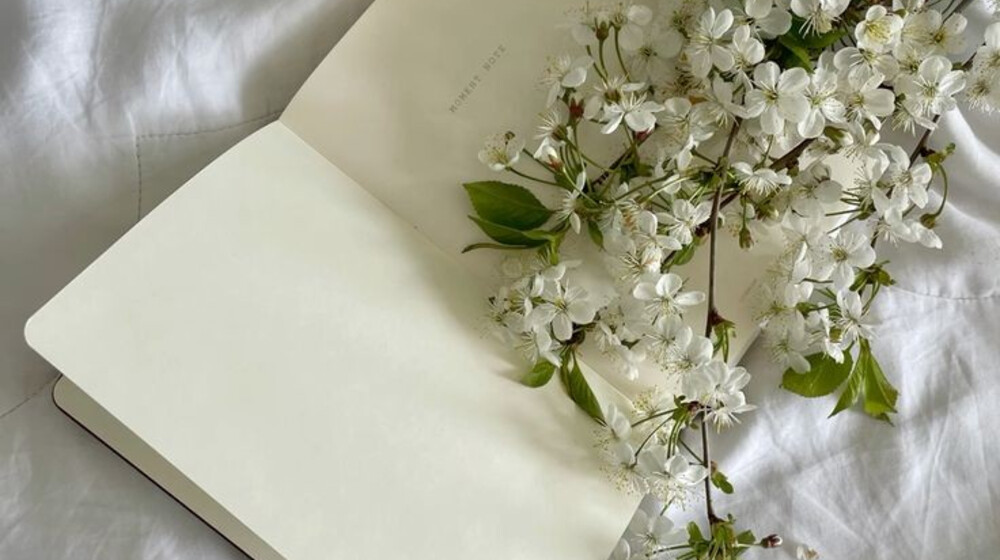 Русский язык👩‍🏫