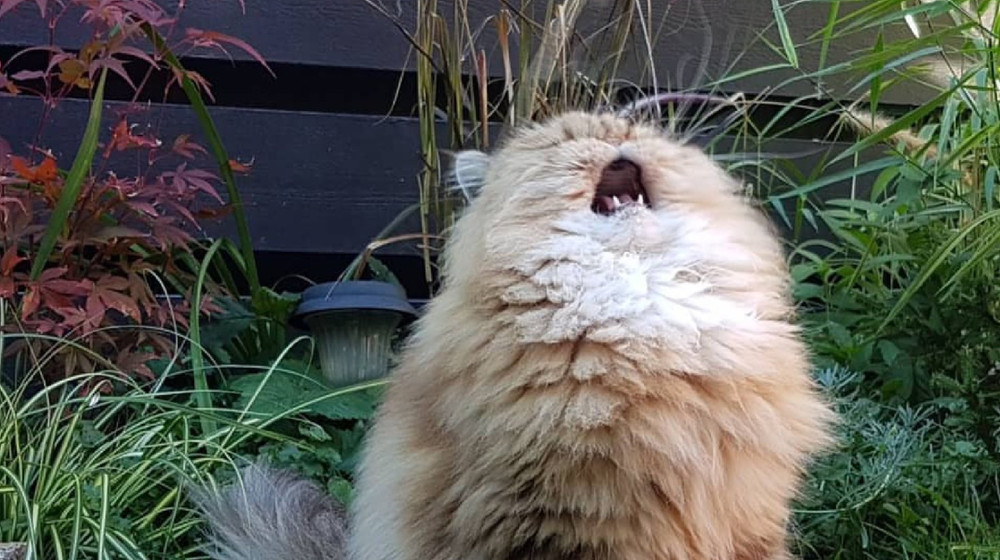 финансовое