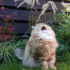 финансовое