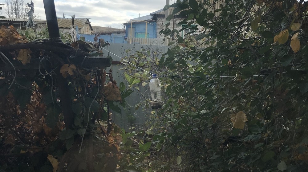 Виктор Драгунский