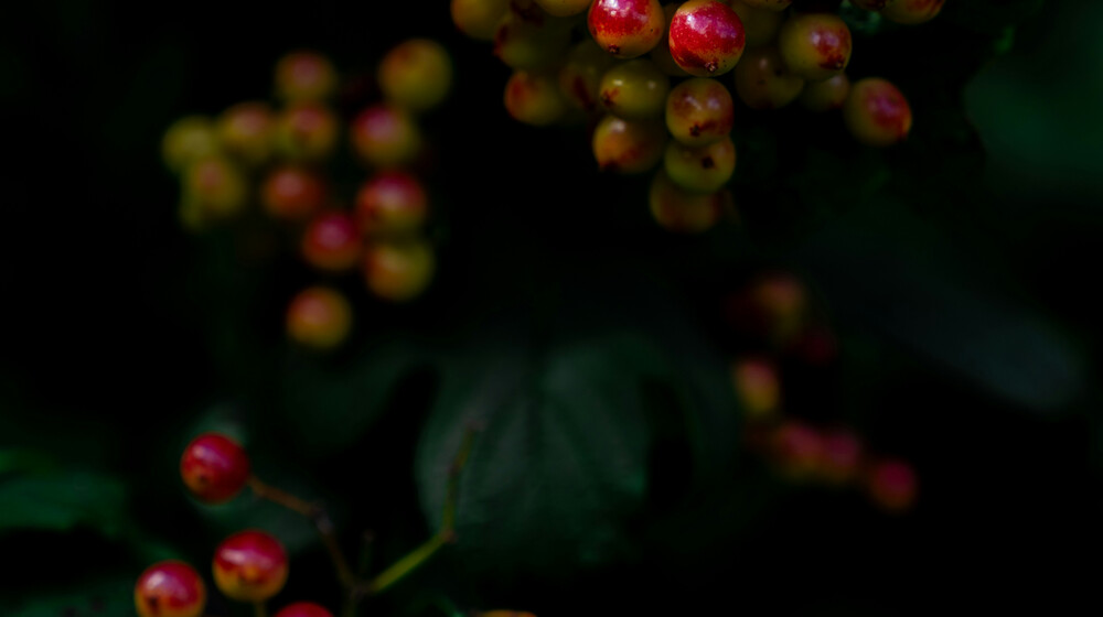 Рисунок и Искусство