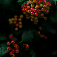 Рисунок и Искусство