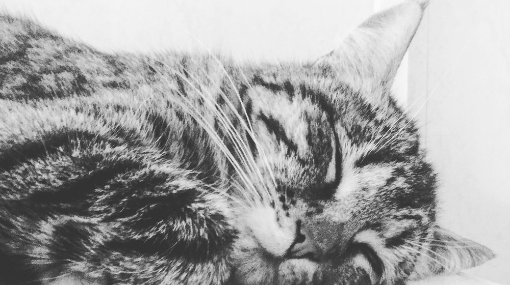 Медиация и переговоры