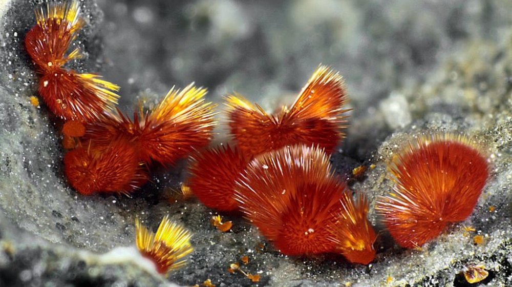 Художественные