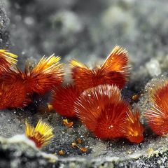 Художественные