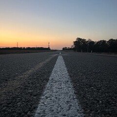 Гидская полка