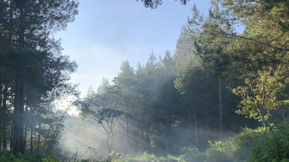 небольшие по объёму 🎀 