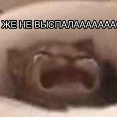 разбиваясь о стены бытия