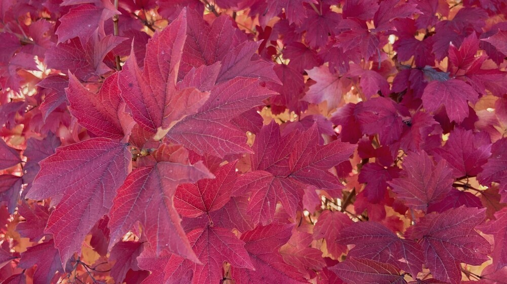 А если серьезно… 