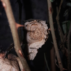 Писательское мастерство. Драматургия