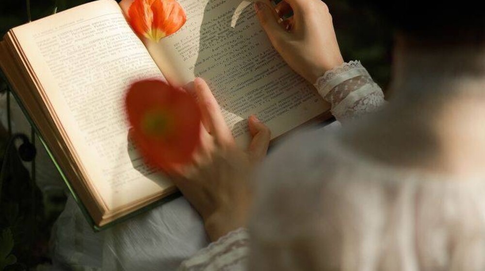 По следам Настёныча