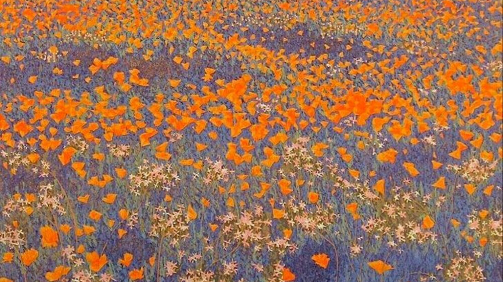 чтиво на лето 2024