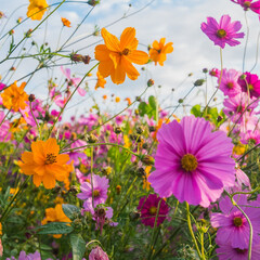 ⊱❀⊰ Летняя полка ⊱❀⊰