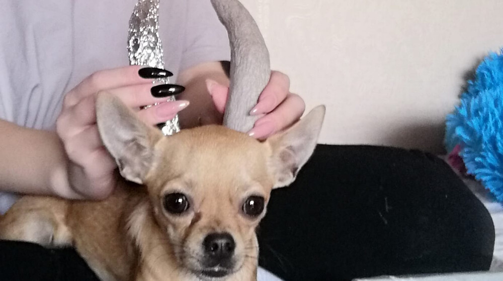 Тень и кость