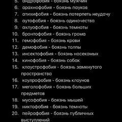 온갖 종류의 어두운 책들🎧🍙