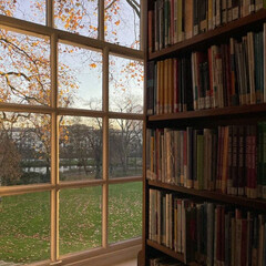 Многоликая библиотека Эльфа