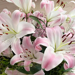 ⋆. 𐙚 ˚Просто книги⋆. 𐙚 ˚