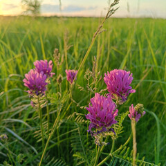 💚✨Л💚е💚т💚о 2025✨💚