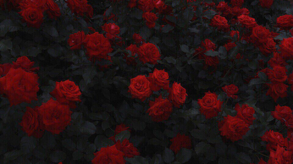 Мрак, тлен, безнадёга...