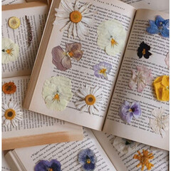 Прочитано/Прослушано в 2025