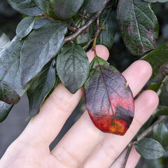 Хочу прочитать