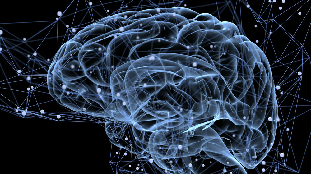 Прокачай мозги.