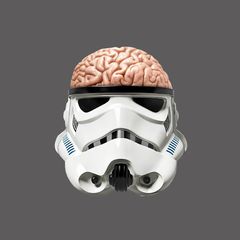 Тело и мозг