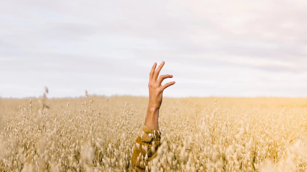 Культура повседневности