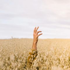 Культура повседневности