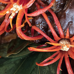 Детский хоррор-сказка