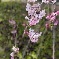 Подборка азиатской литературы. 
