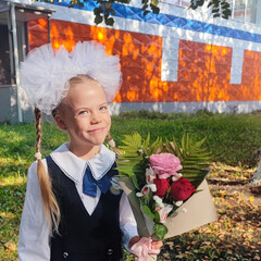 Дашина полка