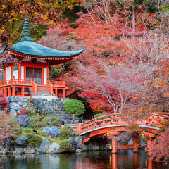 История и культура Дальнего Востока