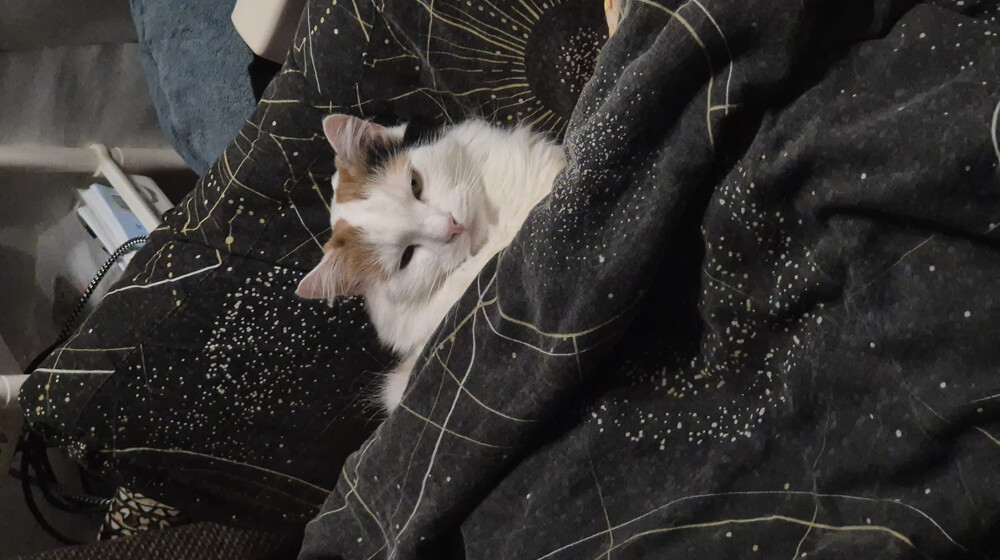 Всё везде и сразу