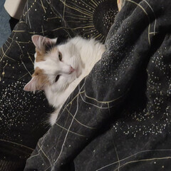 Всё везде и сразу