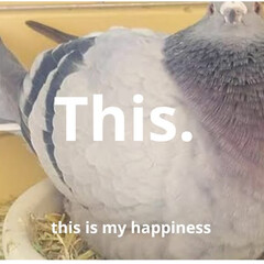 долгострои