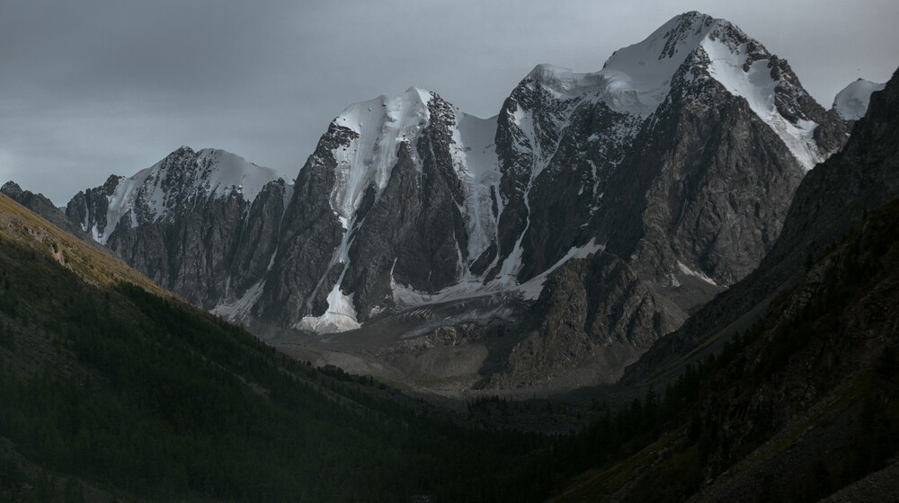 Проклятые короли