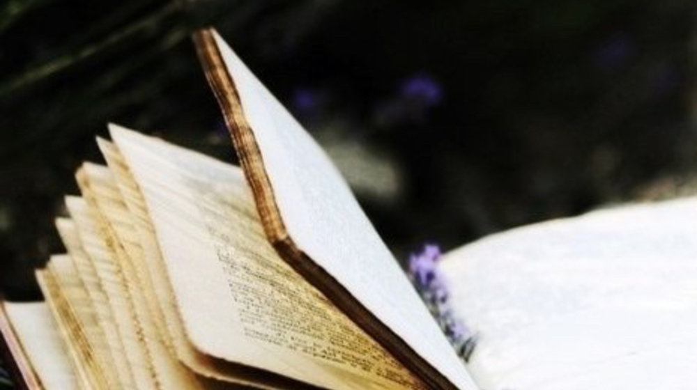 Читать и жить в другом мире