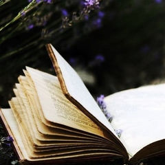 Читать и жить в другом мире