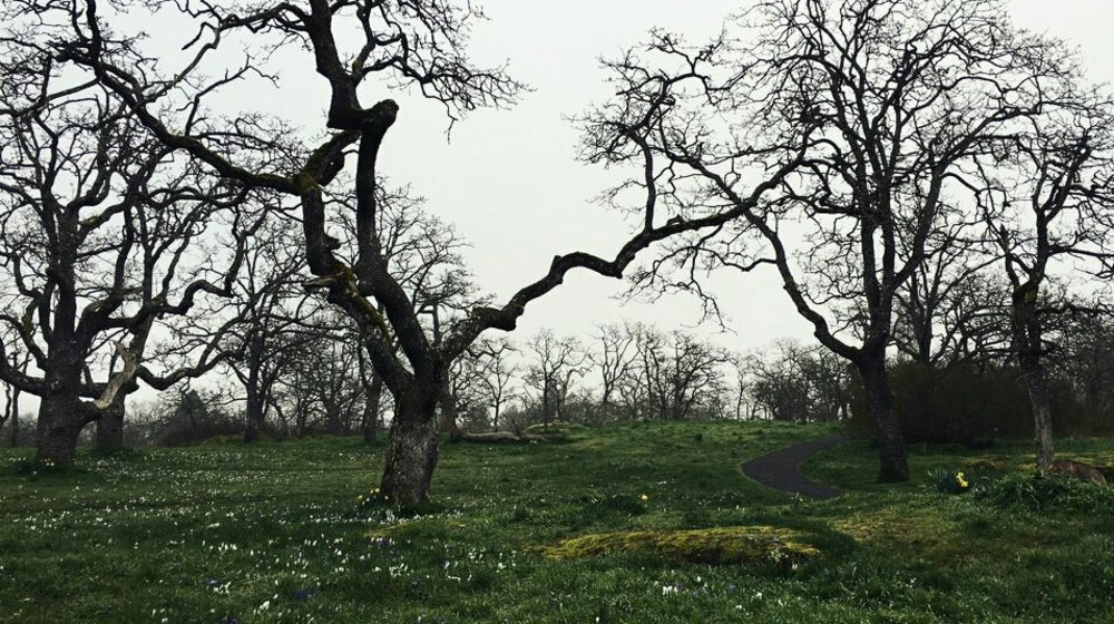 Экзамен по литературе 