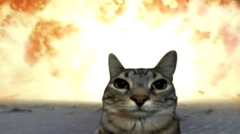 что читает мари