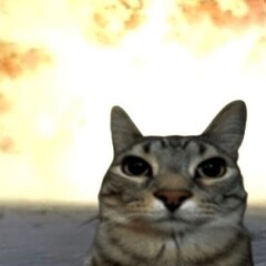 что читает мари