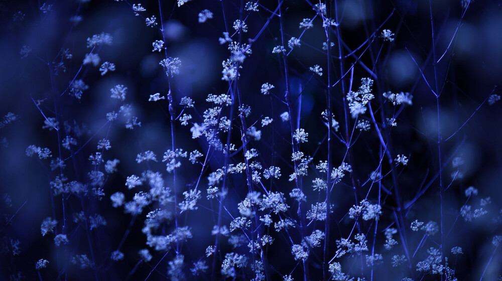 Книги для Женя